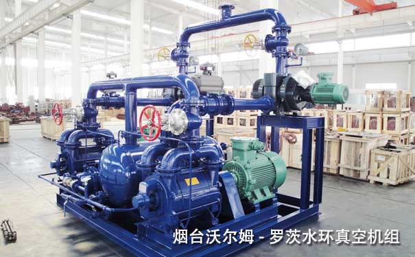 羅茨水環(huán)真空機(jī)組-山東沃爾姆羅茨真空機(jī)組廠(chǎng)家